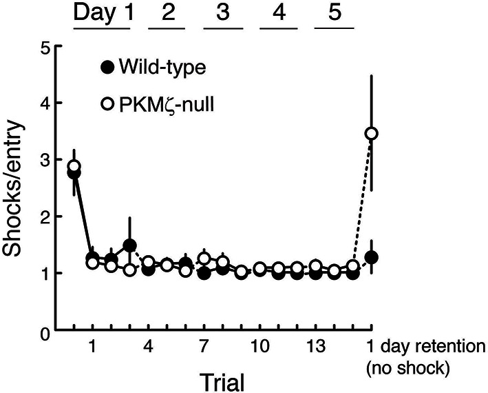 Figure 6—figure supplement 1.