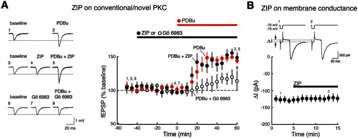 Figure 1—figure supplement 1.