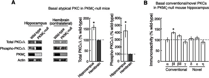 Figure 3—figure supplement 1.