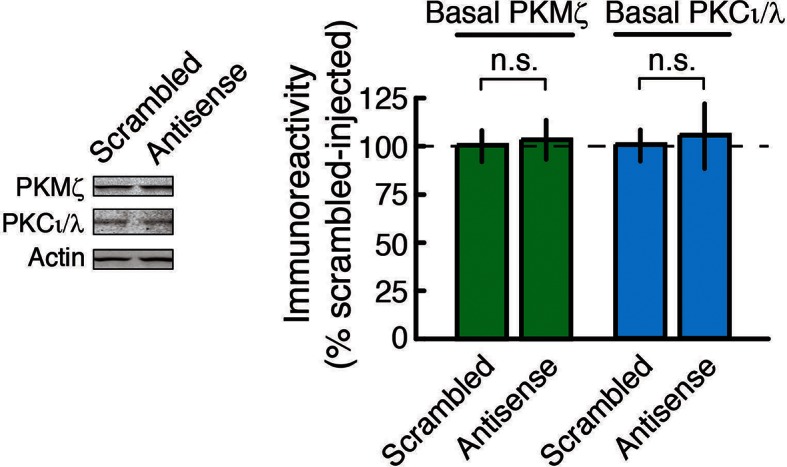 Figure 2—figure supplement 2.