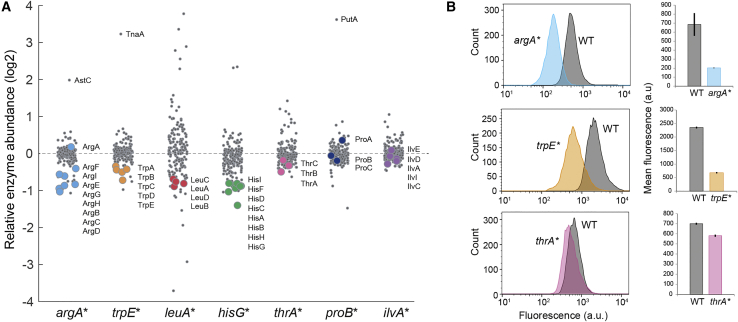 Figure 2