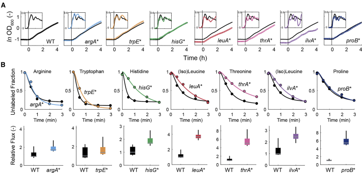 Figure 3