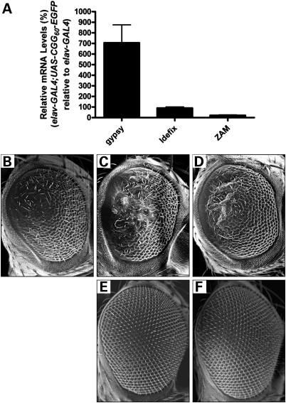 Figure 2.