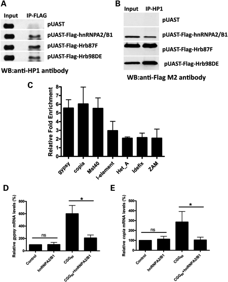 Figure 3.