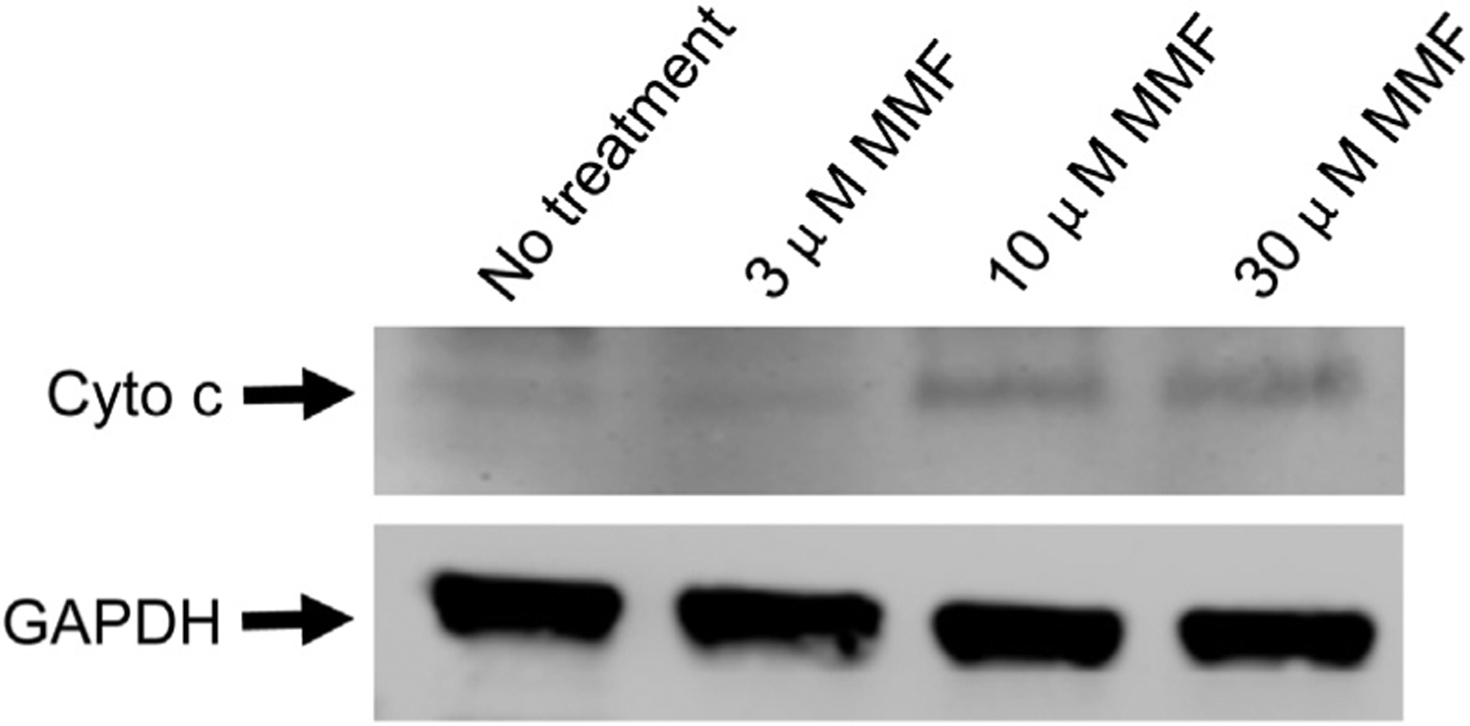 Fig. 4 –