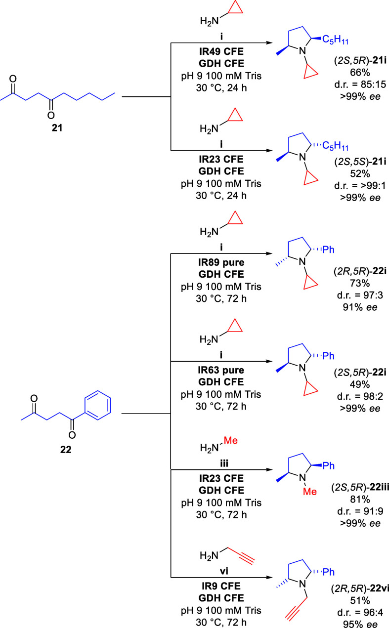 Scheme 4