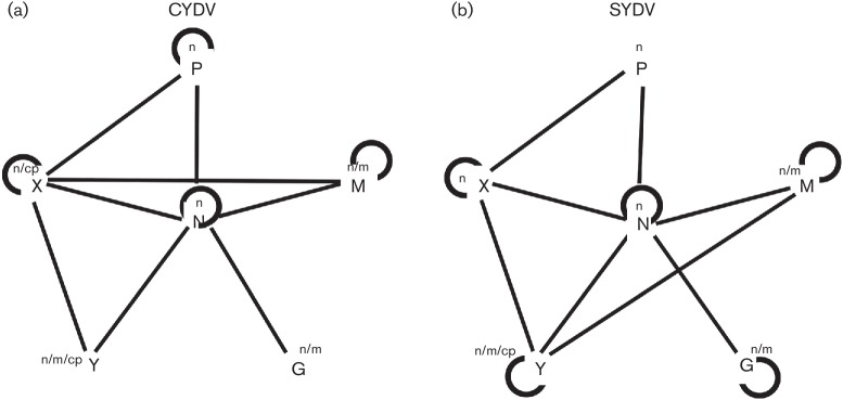 Fig. 5.