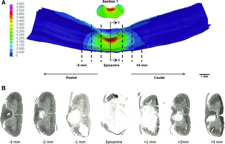 FIG. 9.