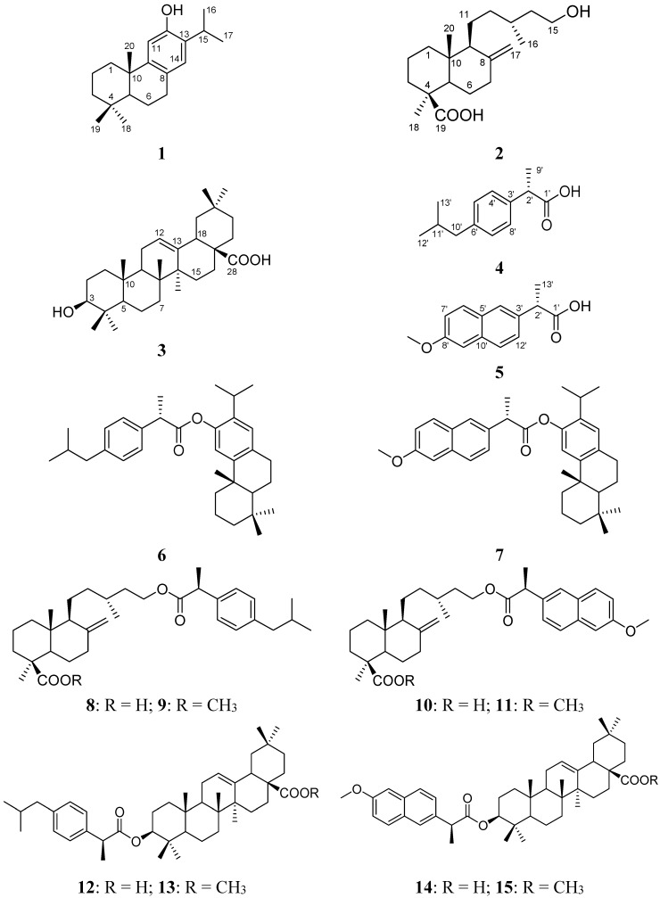 Figure 1