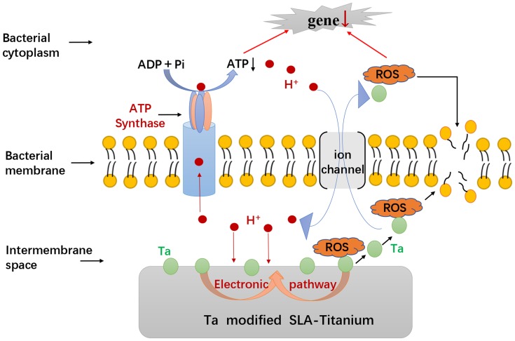 Figure 10