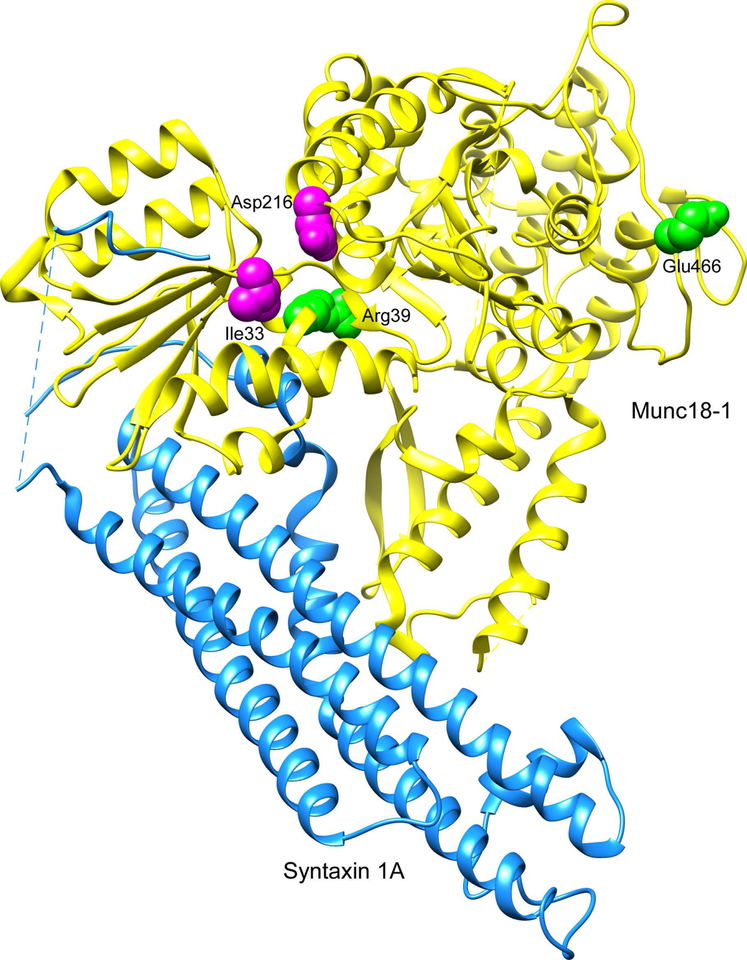 Figure 2: