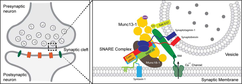 Figure 1: