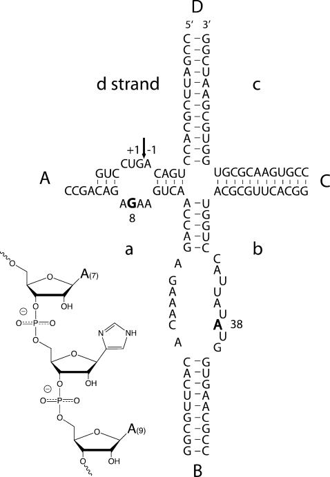 FIGURE 1.