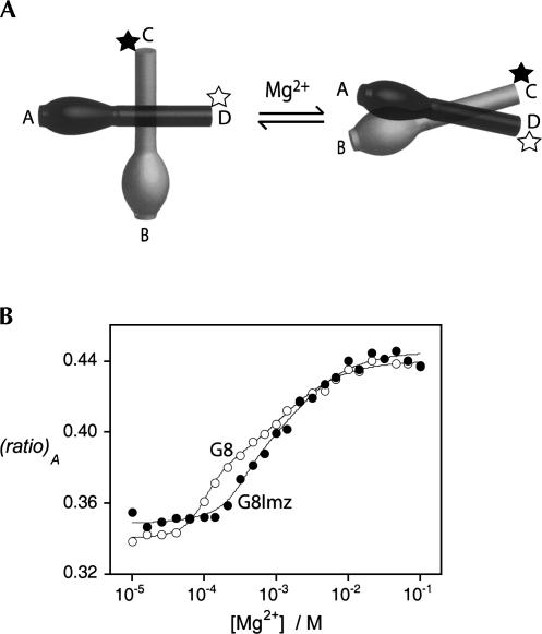 FIGURE 4.