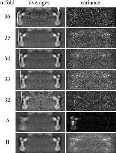 FIG. 5.