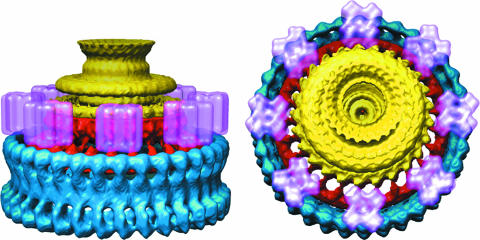 FIG. 11.