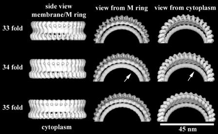 FIG. 6.