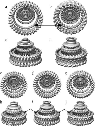 FIG. 9.