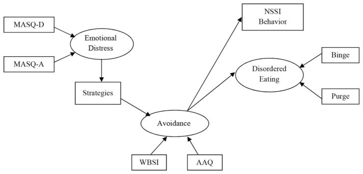 FIGURE 1