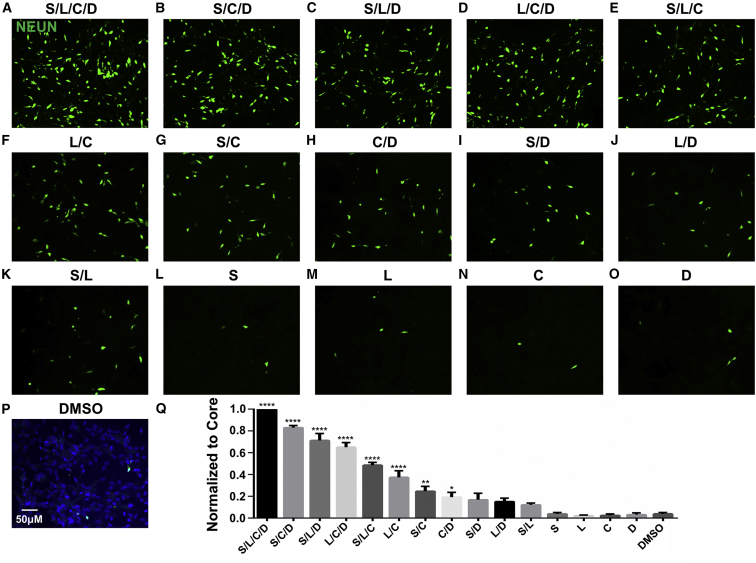 Figure 6