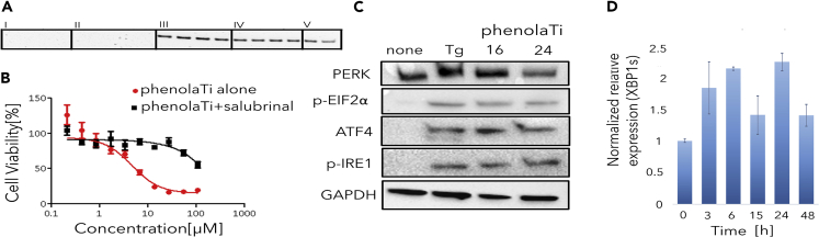 Figure 5