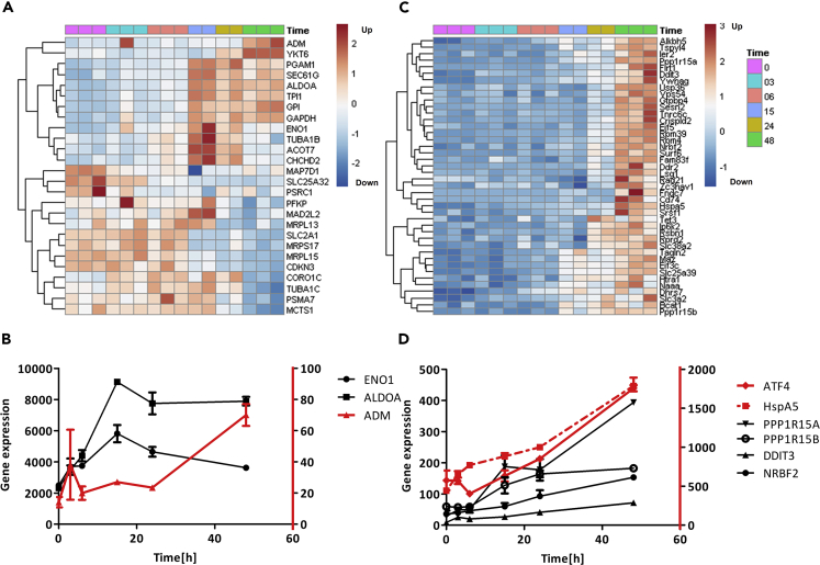 Figure 4