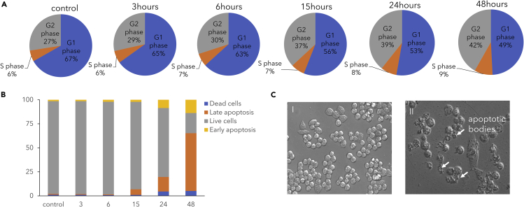 Figure 2