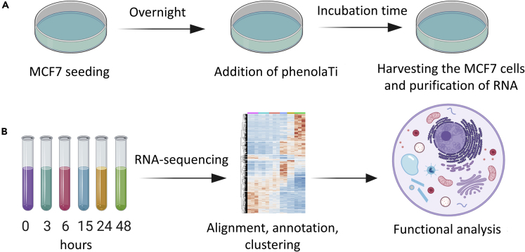 Figure 1