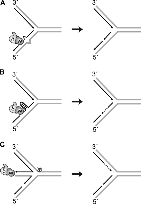 FIGURE 10.