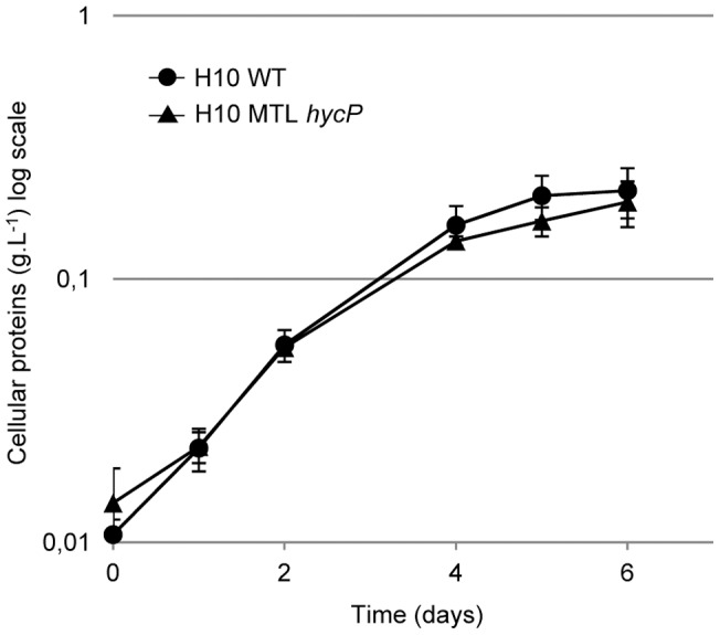 Figure 6