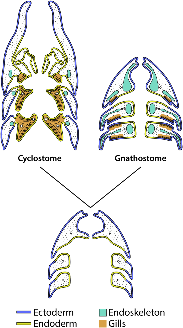 Figure 1