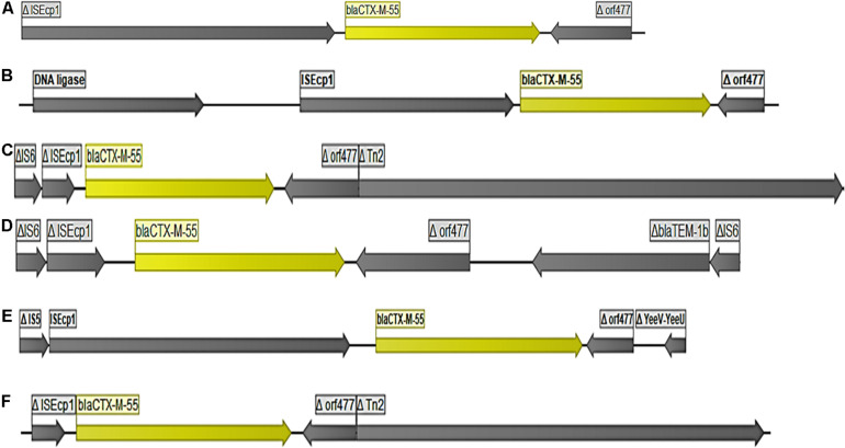 FIGURE 1