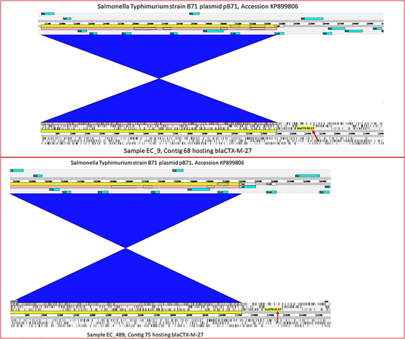 FIGURE 3