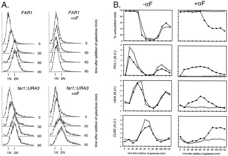 FIG. 7