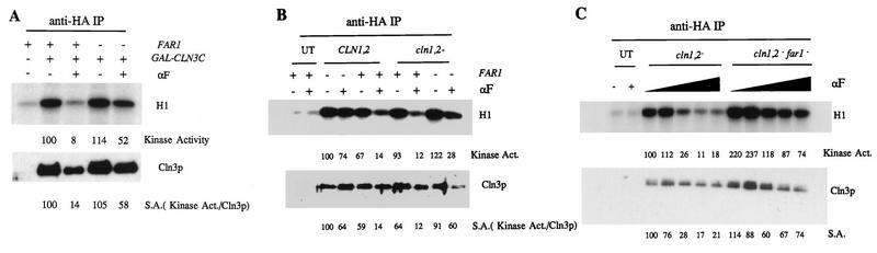 FIG. 5