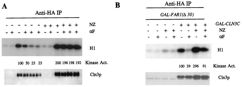 FIG. 8