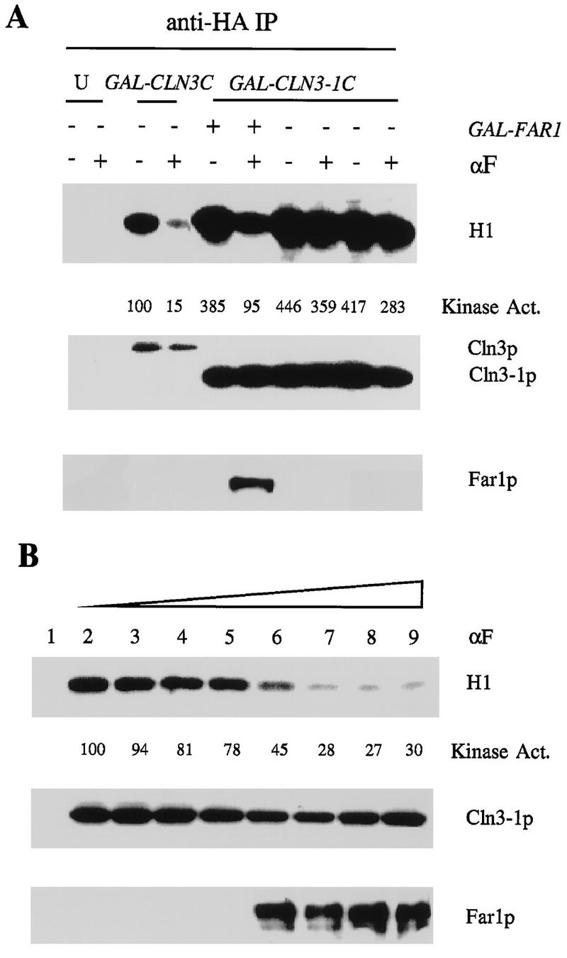 FIG. 6