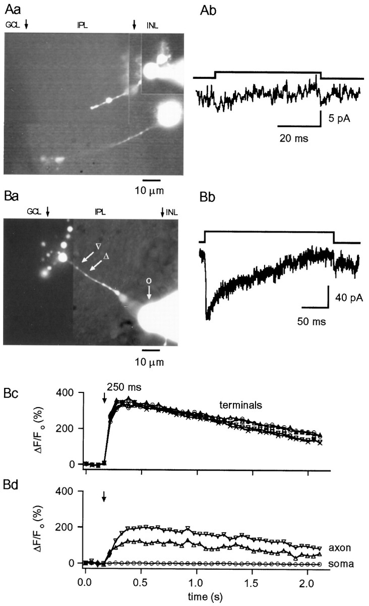 Fig. 8.