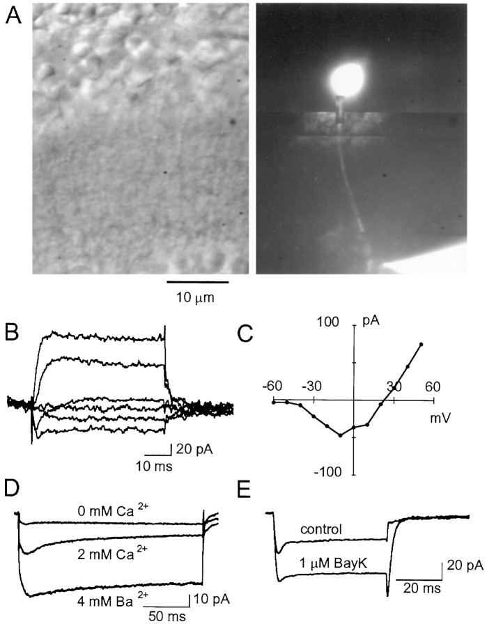 Fig. 4.