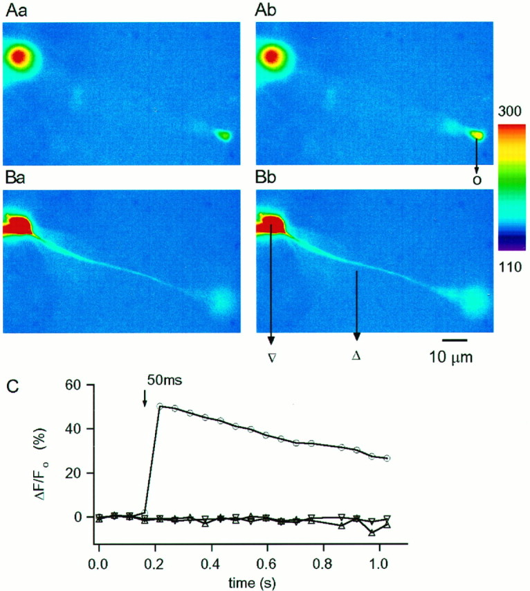 Fig. 5.