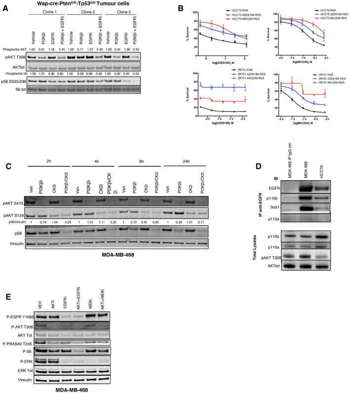 Figure EV3