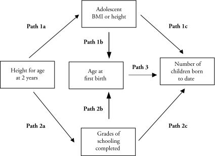 Figure 1.