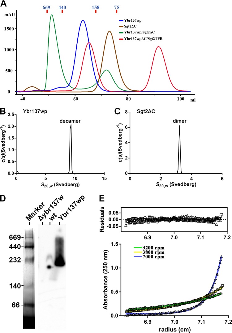 FIG 2