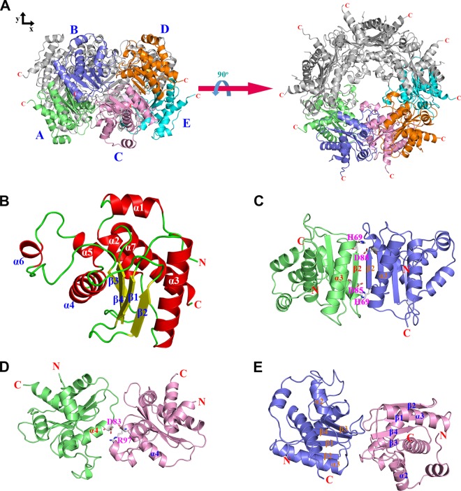 FIG 1