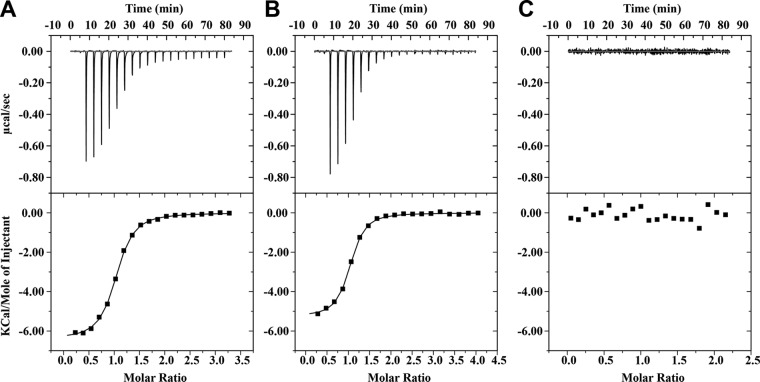 FIG 6