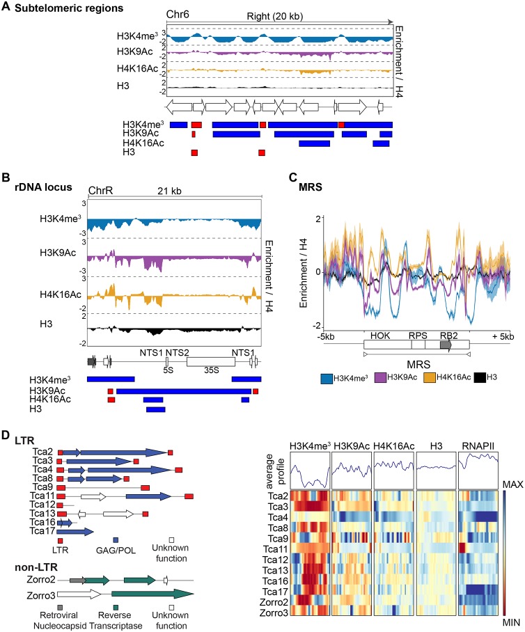 FIG 3