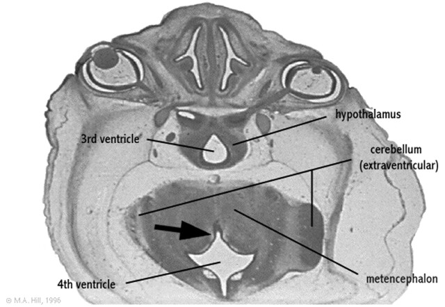 Fig 2.