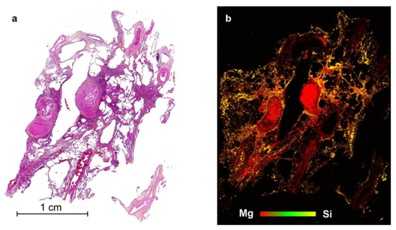 Figure 20