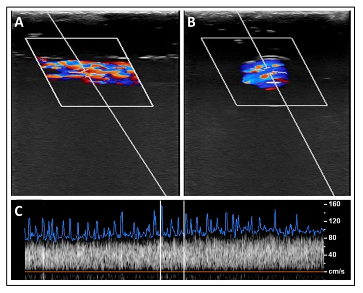 Figure 10