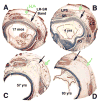 Fig. 7
